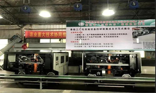 科技引領，協同創新 香菇工廠化生產開啟共同富裕新篇章