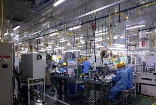 私家車、閑置房與“低收入人群”標簽 理解當下經濟現象的多元視角